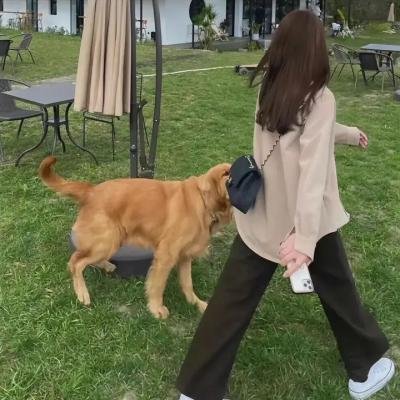 天才小提琴家